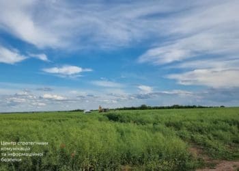 Фоторепортаж з місця збитої російської ракети в Тернопільській області