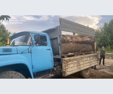 На Тернопільщині ДБР викрила злочинну групу з посадовців, яка крала у держави ліс на мільйони гривень