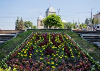 У Тернополі квітнуть патріотичні клумби