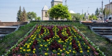 У Тернополі квітнуть патріотичні клумби