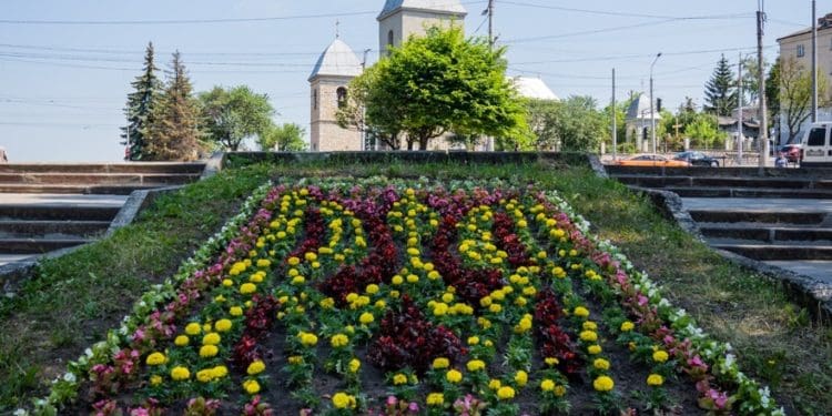 У Тернополі квітнуть патріотичні клумби