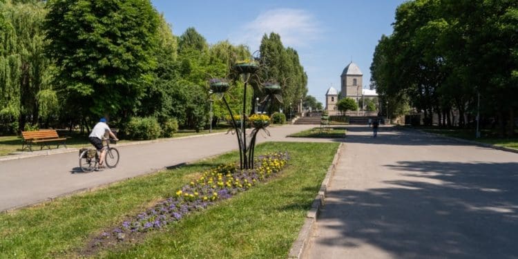 У Тернополі квітнуть патріотичні клумби