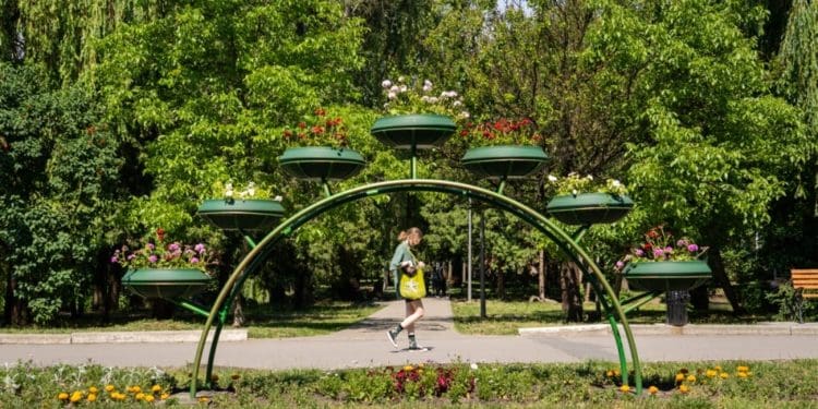 У Тернополі квітнуть патріотичні клумби