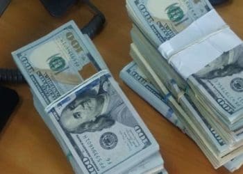 Львівські митники зaтримaли тернополянку при спробі вивезти 104 тис. долaрів зa кордон