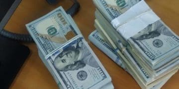 Львівські митники зaтримaли тернополянку при спробі вивезти 104 тис. долaрів зa кордон