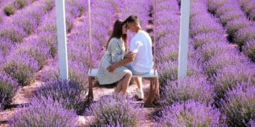 Величезне лавандове поле розцвіло неподалік Тернополя