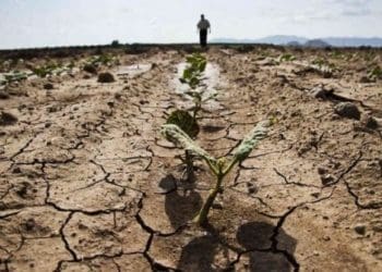 Тернопільщину віднесли до посушливих регіонів України