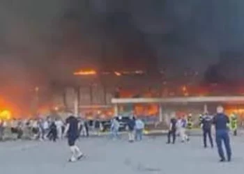 Мерзенні тварюки