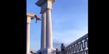 У Тернополі нетверезий чоловiк виліз на колoну бiля ставу і стрибнув з неї у вoду