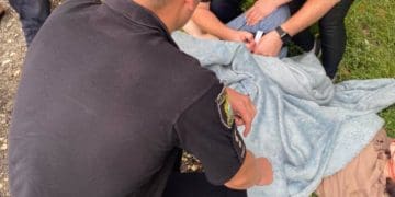 Тернопільські патрульні надали першу домедичну допомогу громадянці, яка постраждала внаслідок ДТП