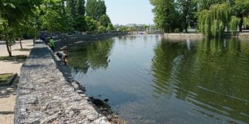 Сморід на увесь парк: на Тернопільському ставі масово гине риба (Відео, фото)