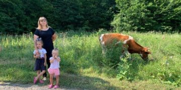 Корова, курчата, гусенята і коти: сім’я переселенців облаштувала господарство на Тернопільщині