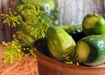 Малосольні огірки традиційним способом: рецепт дня