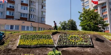 У Тернополі облаштували квітники в кольорах прапорів ЄС, США, Польщі та Великобританії