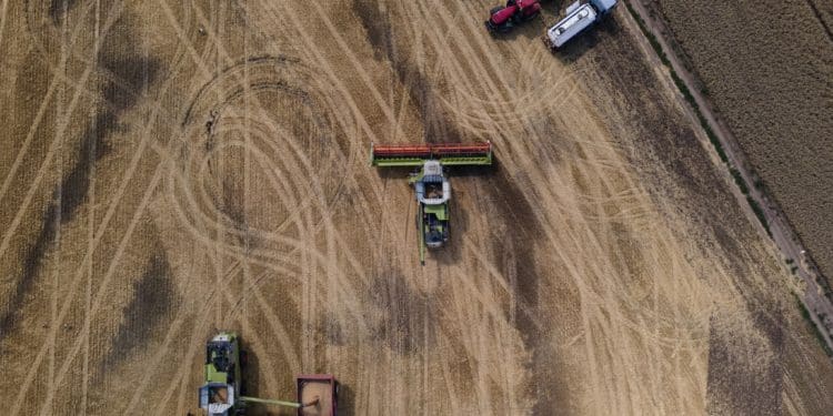 Як збирають врожай на Тернопільщині: вражаюча аерозйомка (Фото)