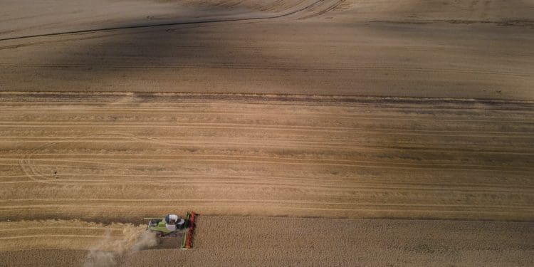 Як збирають врожай на Тернопільщині: вражаюча аерозйомка (Фото)