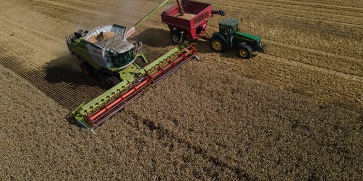 Як збирають врожай на Тернопільщині: вражаюча аерозйомка (Фото)