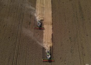 Як збирають врожай на Тернопільщині: вражаюча аерозйомка (Фото)