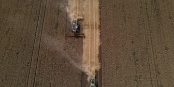 Як збирають врожай на Тернопільщині: вражаюча аерозйомка (Фото)