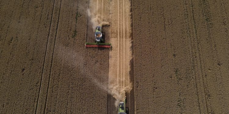 Як збирають врожай на Тернопільщині: вражаюча аерозйомка (Фото)