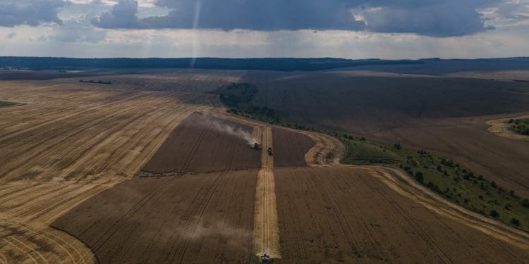Як збирають врожай на Тернопільщині: вражаюча аерозйомка (Фото)