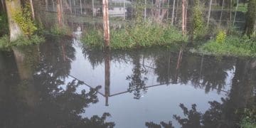 У тернопільському парку з’явилася ще одна «водна арена»