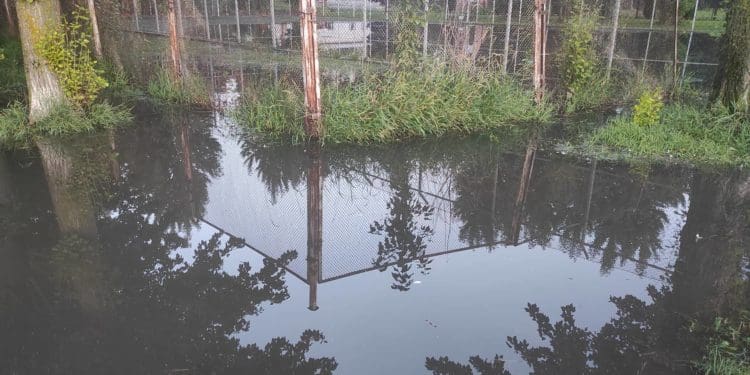 У тернопільському парку з’явилася ще одна «водна арена»