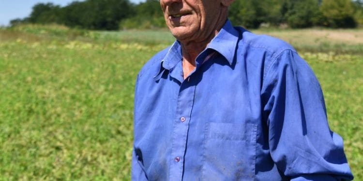 Вирощені на власному полі кавуни Михайло Кузів продає на ринку у Чорткові