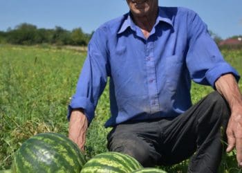 Вирощені на власному полі кавуни Михайло Кузів продає на ринку у Чорткові