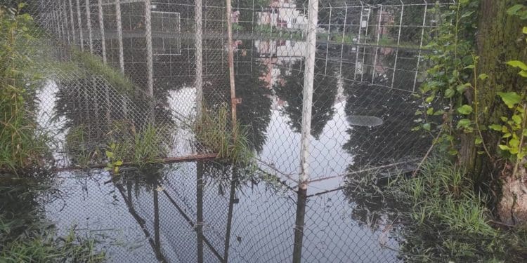 У тернопільському парку з’явилася ще одна «водна арена»