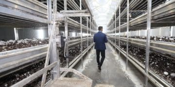 Голова Тернопільської обласної ради Михайло Головко відвідав найбільшу ферму печериць Тернопільщини Fungi Farm