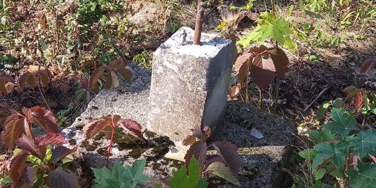 У Бучачі влада нищить цвинтар і вирубує на ньому дерева на сотні тисяч гривень