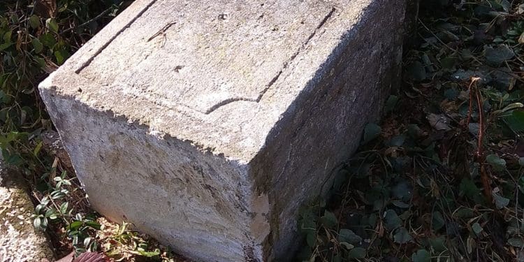 У Бучачі влада нищить цвинтар і вирубує на ньому дерева на сотні тисяч гривень