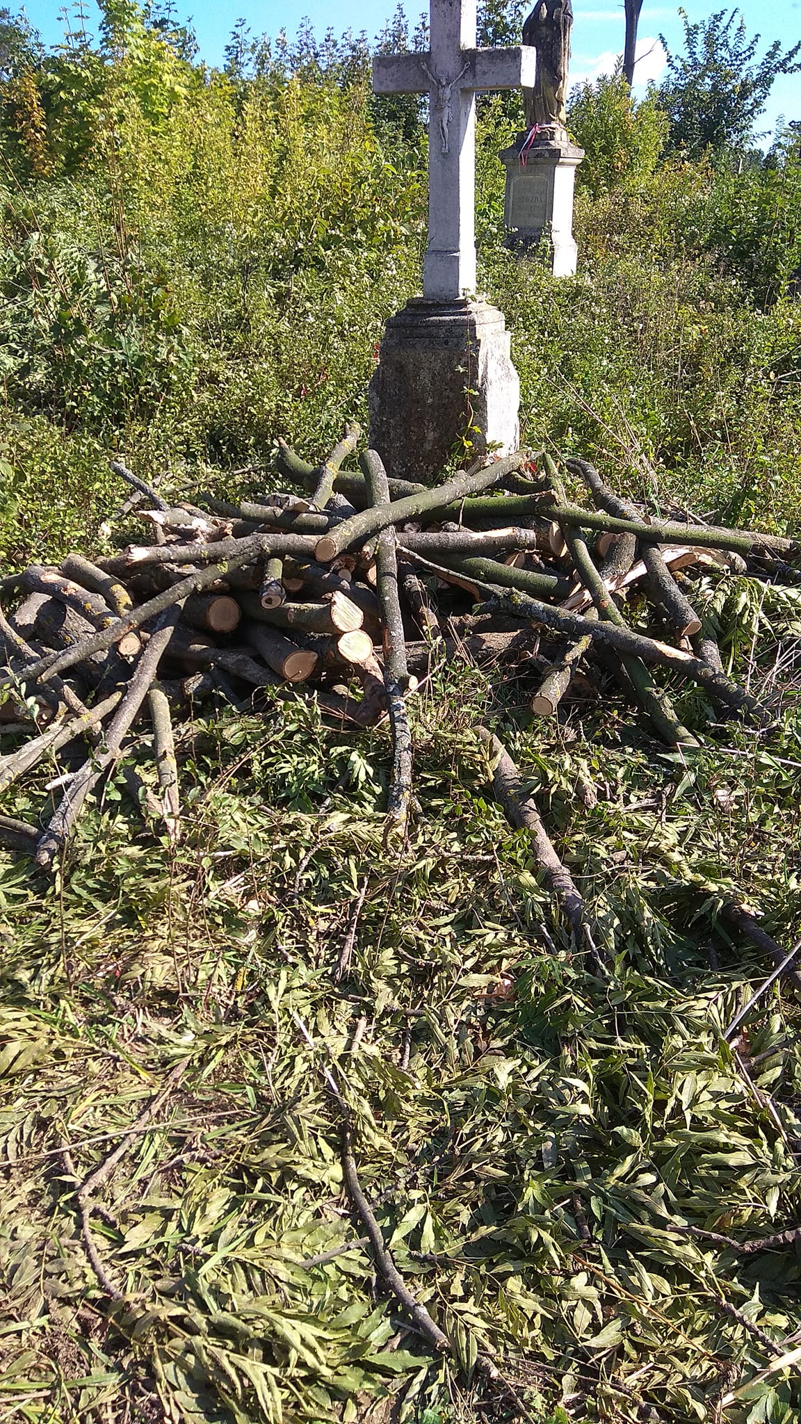 У Бучачі влада нищить цвинтар і вирубує на ньому дерева на сотні тисяч гривень
