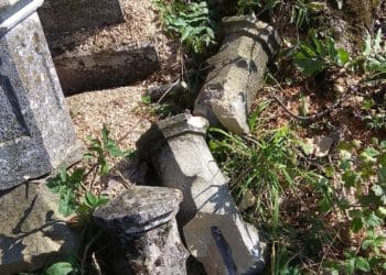 У Бучачі влада нищить цвинтар і вирубує на ньому дерева на сотні тисяч гривень