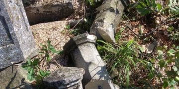 У Бучачі влада нищить цвинтар і вирубує на ньому дерева на сотні тисяч гривень