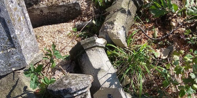 У Бучачі влада нищить цвинтар і вирубує на ньому дерева на сотні тисяч гривень