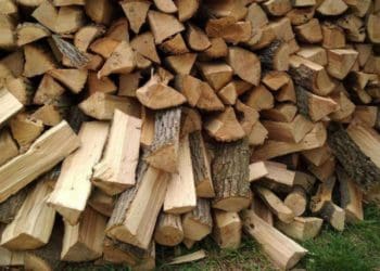 Ні дров, ні грошей: у жителя Лановеччини шахрай виманив 12000 гривень