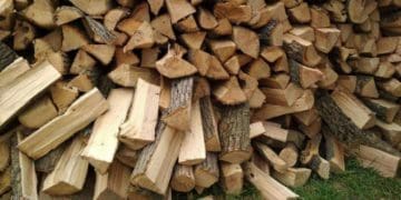 Ні дров, ні грошей: у жителя Лановеччини шахрай виманив 12000 гривень