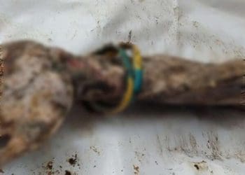 Синьо-жовті браслети на зап’ясті Сергій Сова носив як оберіг з 14-го року, – Зеленський