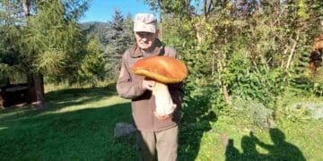 Картпатський грибник знайшов гриба-гіганта вагою 3 кілограми (Фото)