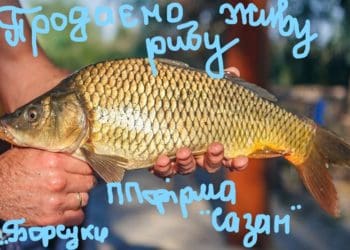 На Лановеччині продають живу рибу