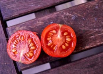 Як правильно збирати насіння помідорів: два способи