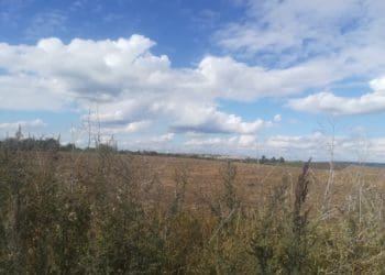 Про небезпечну ситуацію на Малашівському сміттєзвалищі під Тернополем розповів еколог