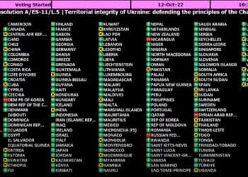 Генасамблея ООН підтримала резолюцію про Територіальну цілісність України