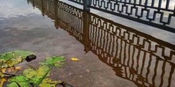 Тернопільське озеро вийшло з берегів (Фото)