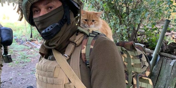 Тарас Юрик: “Нашому поколінню випав шанс змінити історію і знищити російську імперію!”