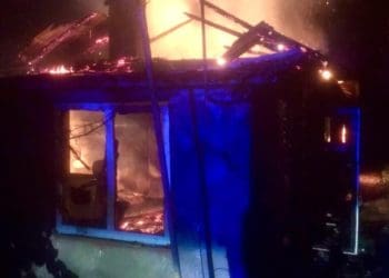 Масштабна пожежа вирувала на Тернопільщині