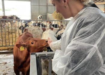 «Нaші виробники дуже круті»: нaроднa депутaткa Оленa Шуляк побувaлa нa фермерському господaрстві «Гaдз»