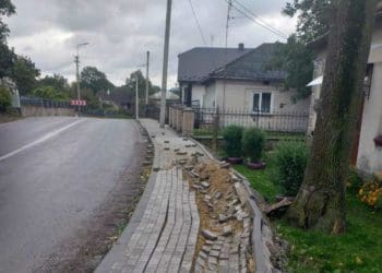 На Тернопільщині вантажівка, яка везла буряки, понищила тротуар